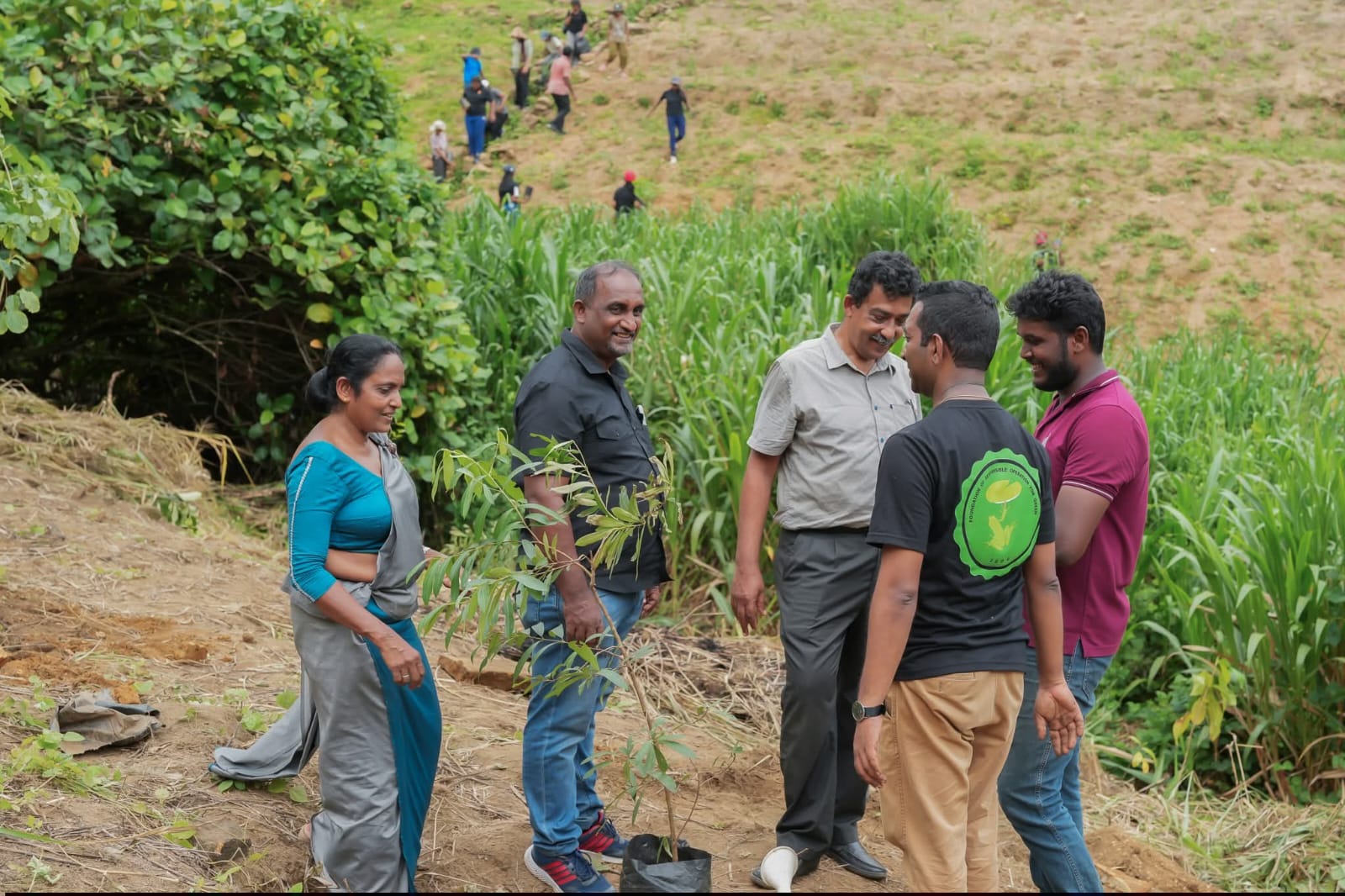 FROG Initiative - Field Work 1