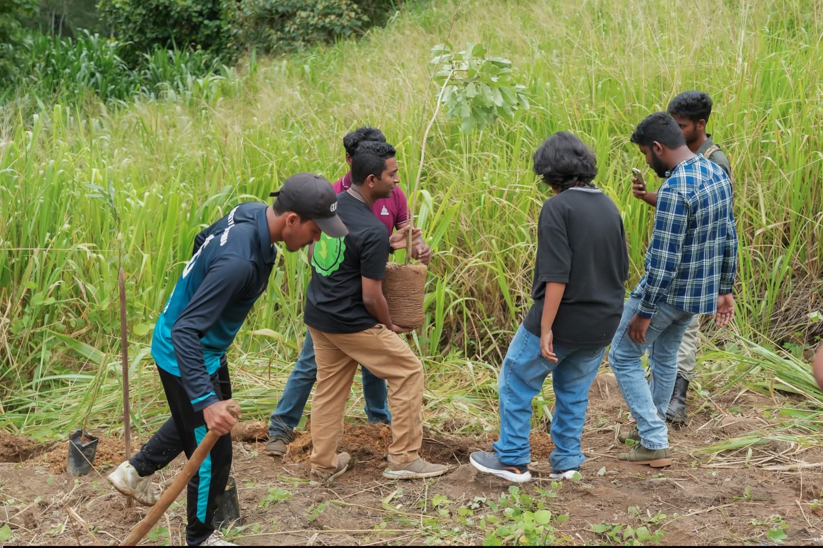 FROG Initiative - Field Work 2