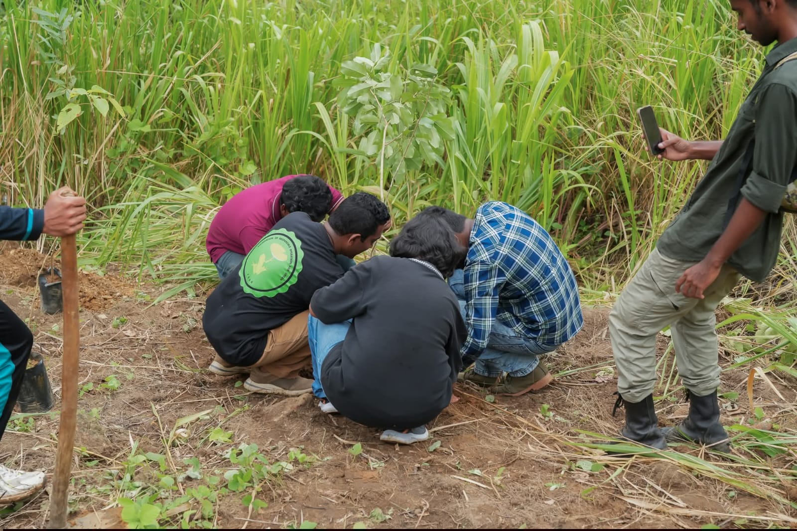 FROG Initiative - Field Work 3