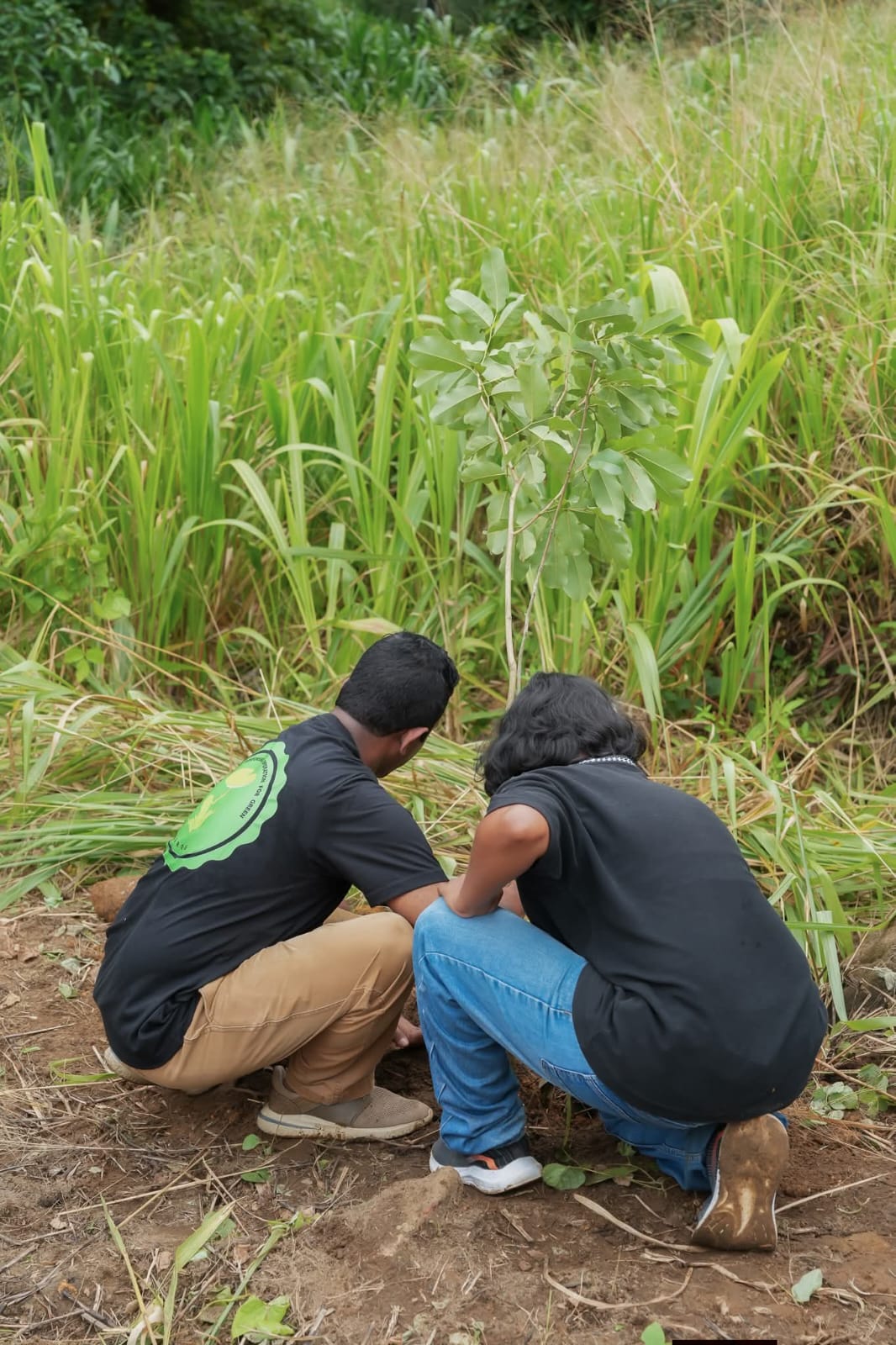 FROG Initiative - Field Work 5