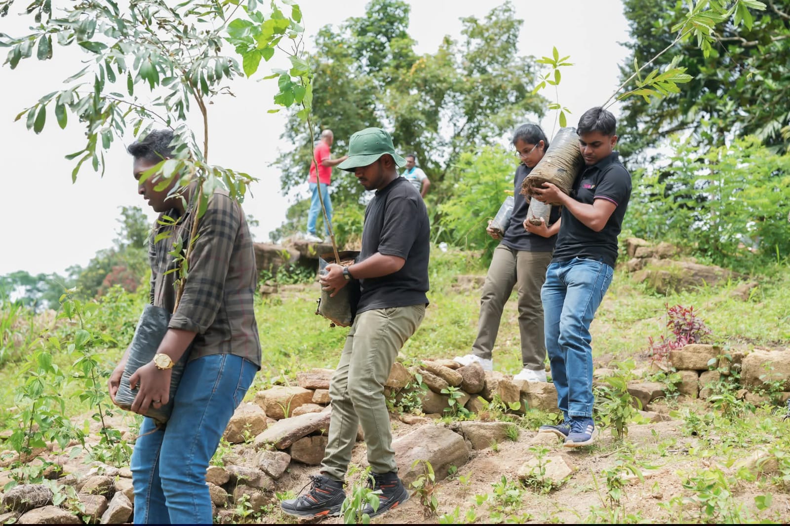 FROG Initiative - Field Work 6