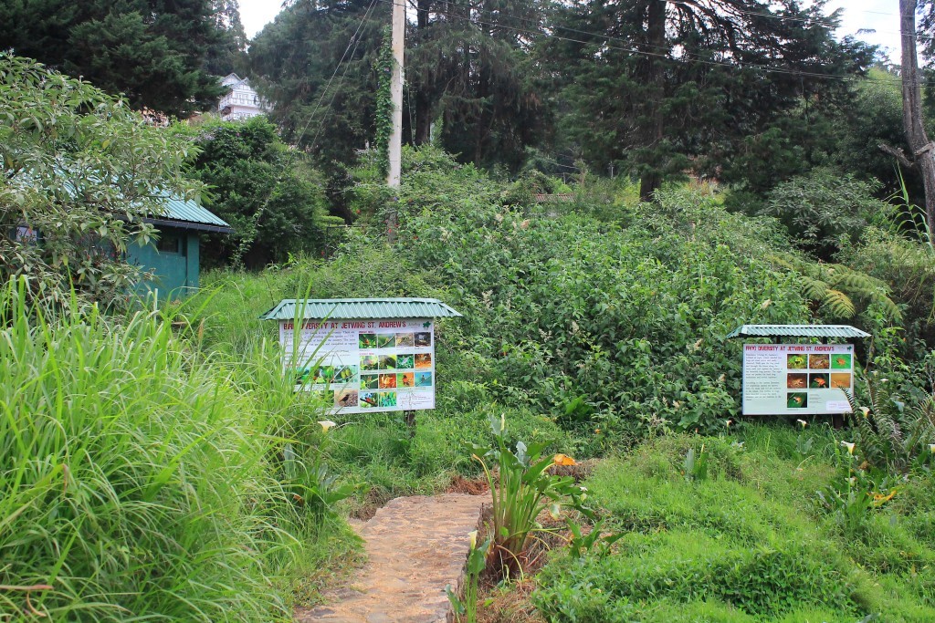Man-Made Wetland Development -photo 3