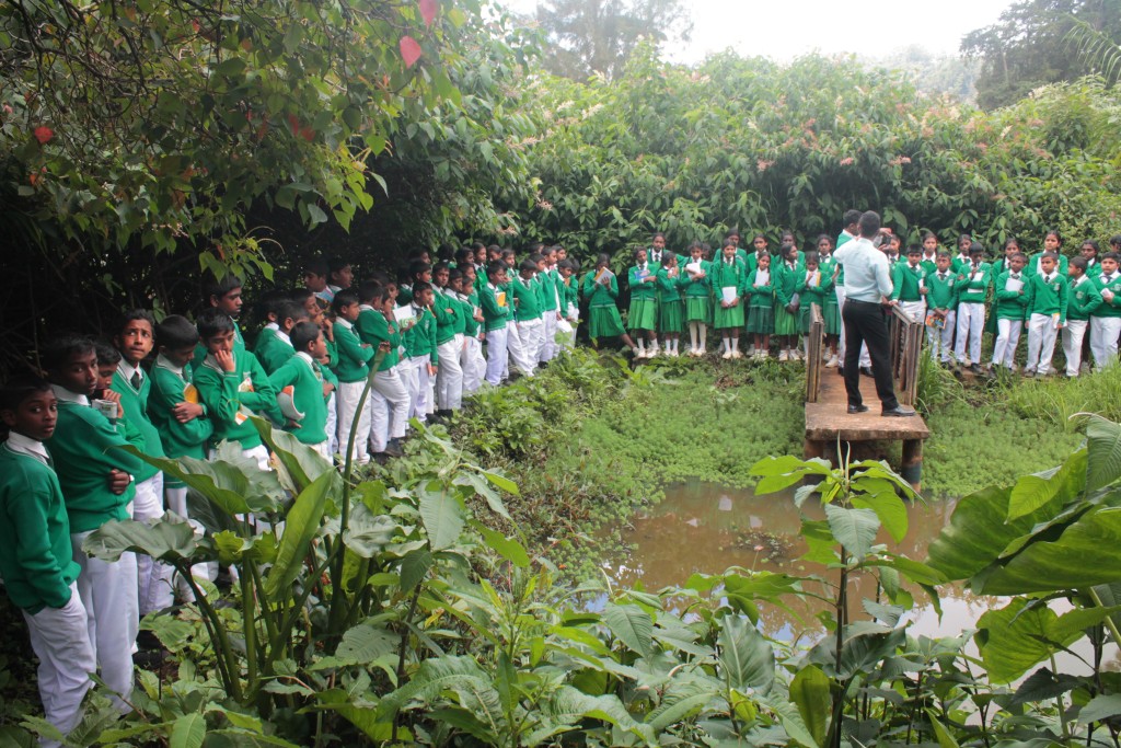 Man-Made Wetland Development -photo 4