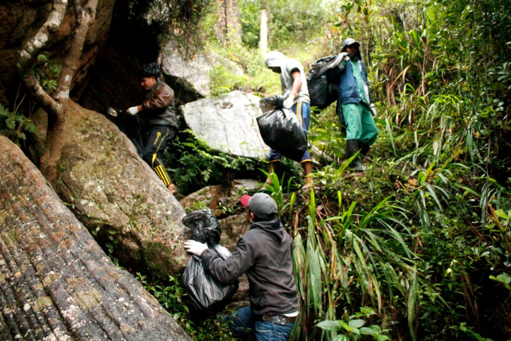 Biodiversity Awareness -Victoria Park & Lover's Leap -photo 2