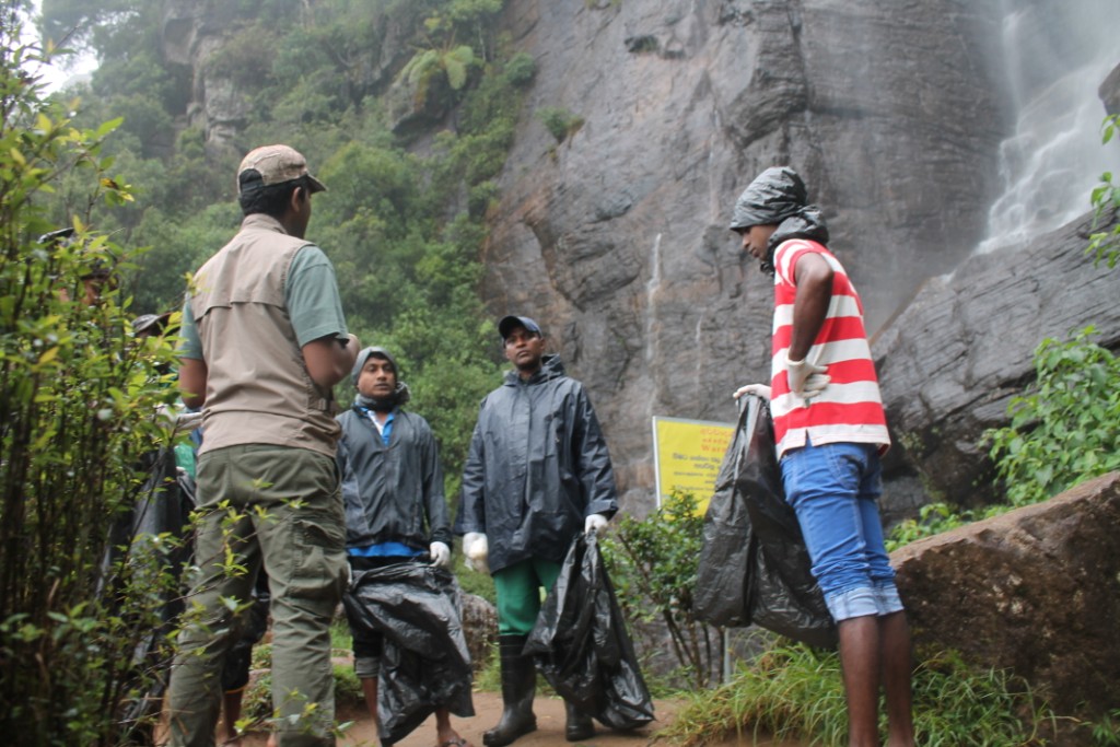 Biodiversity Awareness -Victoria Park & Lover's Leap -photo 3
