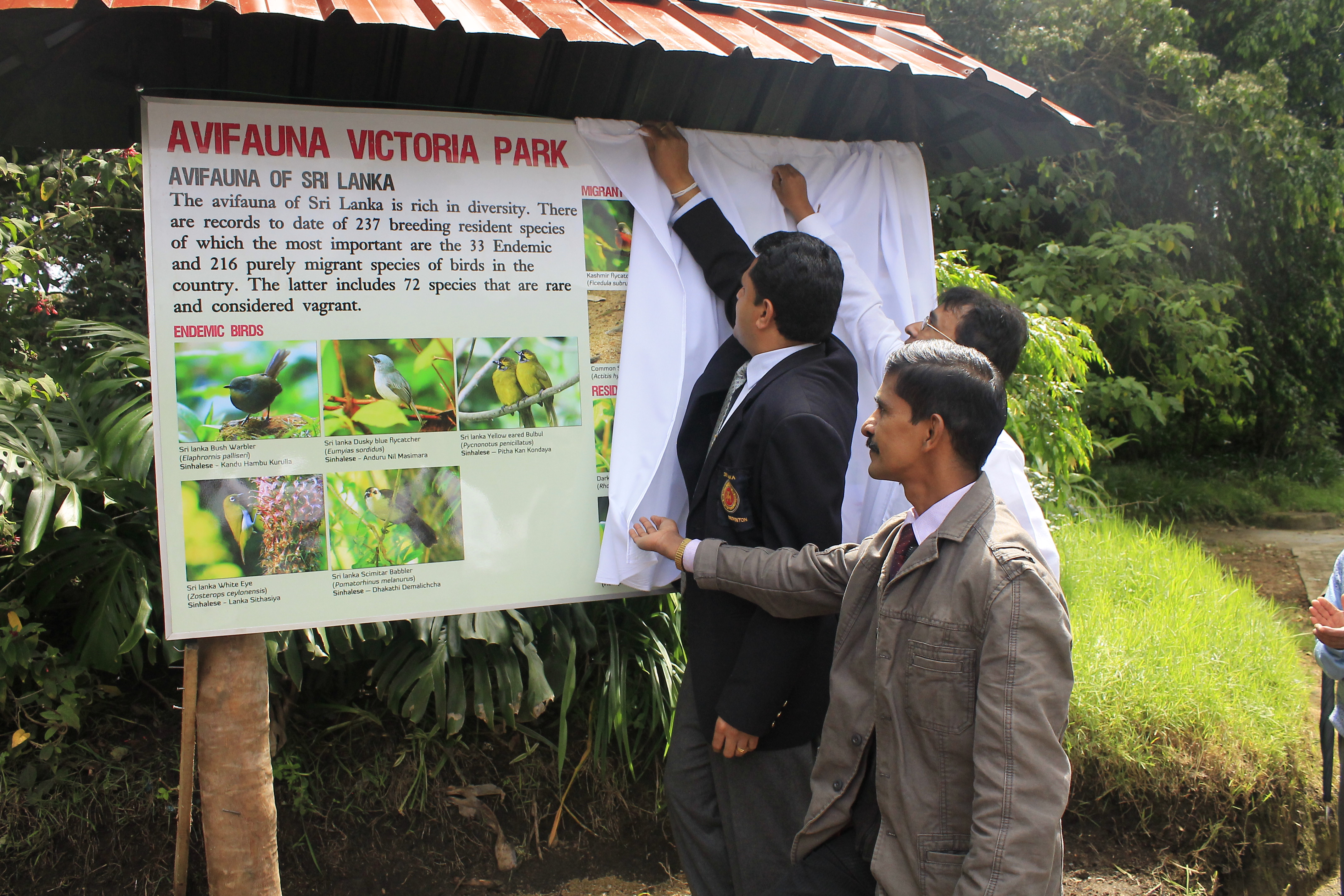 Biodiversity Awareness -Victoria Park & Lover's Leap -photo 5