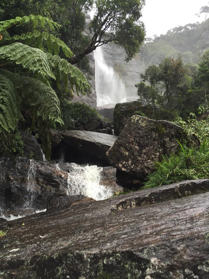 Biodiversity Awareness -Victoria Park & Lover's Leap