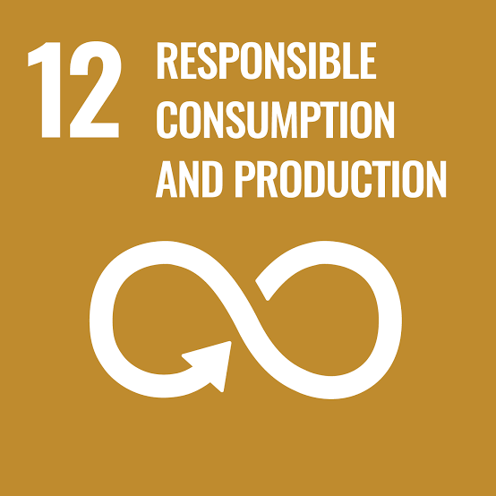 SDG 12: Responsible Consumption & Production