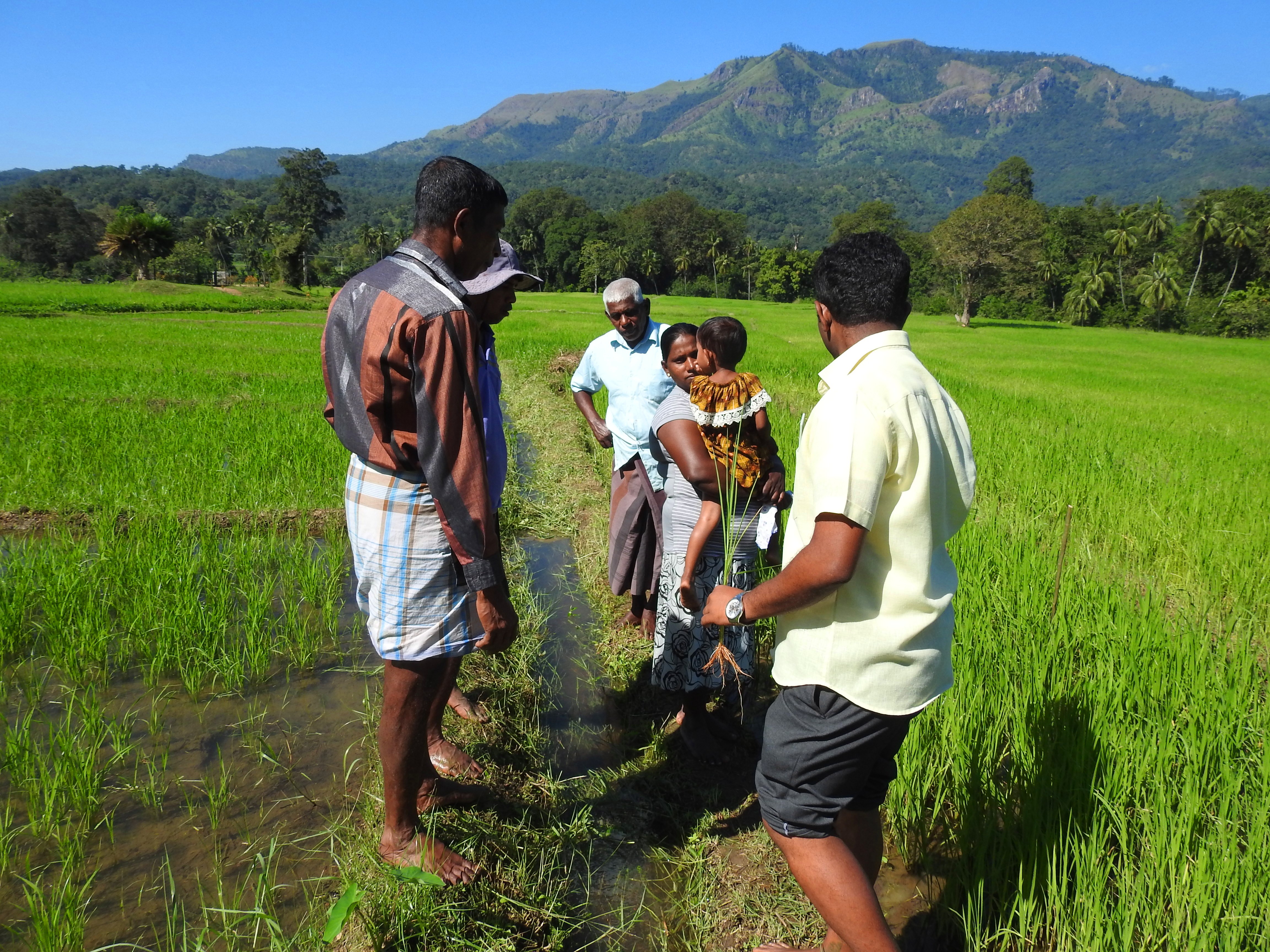 Organic farming promotion